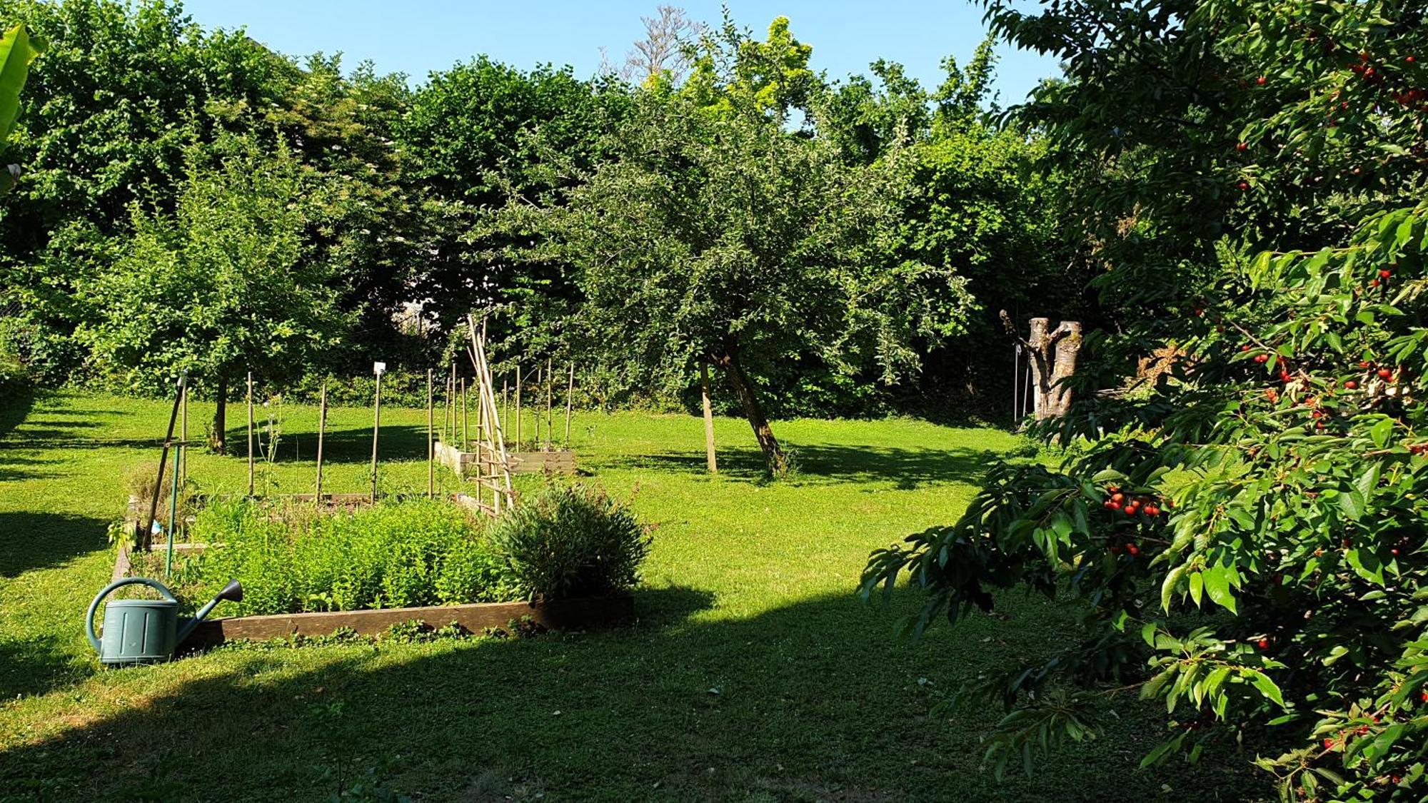 Gite BONSEJOUR Fleurville Zimmer foto